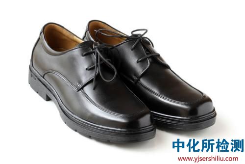 皮鞋檢測機構