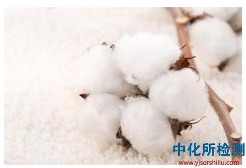 棉花檢測
