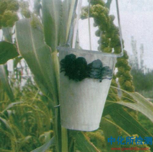 驅(qū)鳥(niǎo)劑檢測(cè)