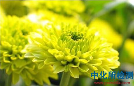 菊粉檢測