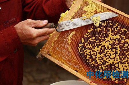 蜂蠟檢測(cè) . 蜂蠟檢測(cè)