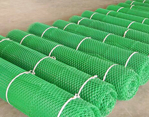 三維植被網檢測